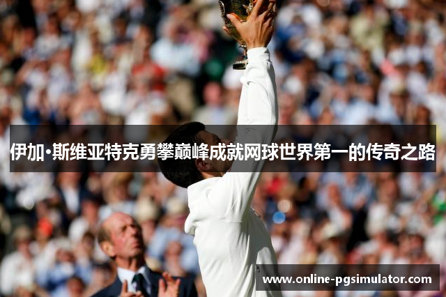 伊加·斯维亚特克勇攀巅峰成就网球世界第一的传奇之路