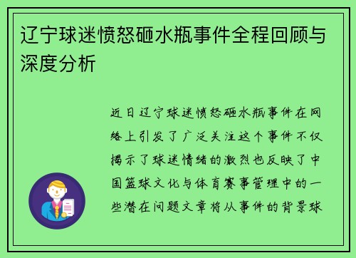 辽宁球迷愤怒砸水瓶事件全程回顾与深度分析