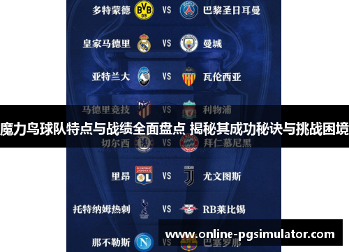 魔力鸟球队特点与战绩全面盘点 揭秘其成功秘诀与挑战困境