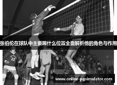 张伯伦在球队中主要踢什么位置全面解析他的角色与作用